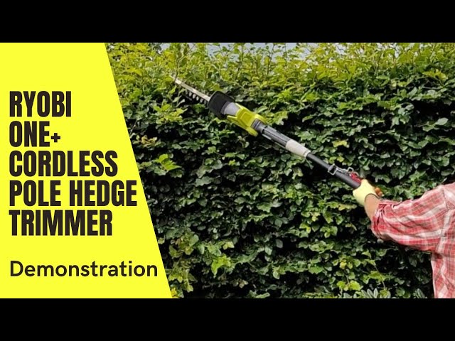 Hedge Trimming Made Easy: Demonstrating the Ryobi One+ Cordless Pole Hedge Trimmer