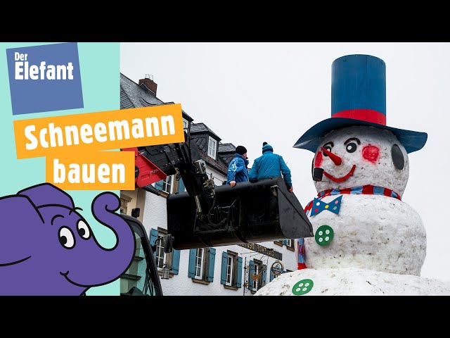 Wie baut man den größten Schneemann Deutschlands? | Der Elefant | WDR