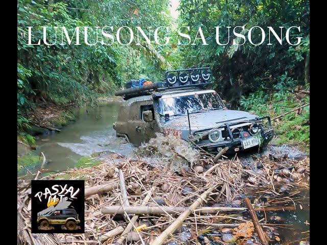 LUMUSONG NA! | USONG FALLS TRAIL