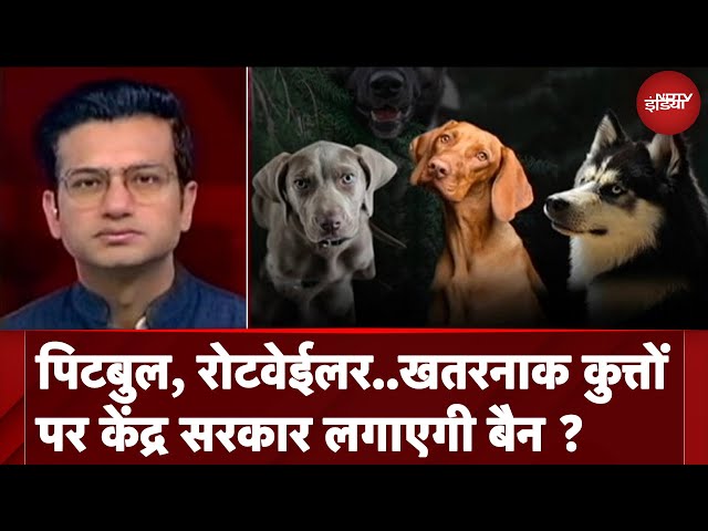 Dangerous Dogs Breeds के आयात पर रोक लगाने की तैयारी में केंद्र, जारी किया आदेश | Sawaal India Ka