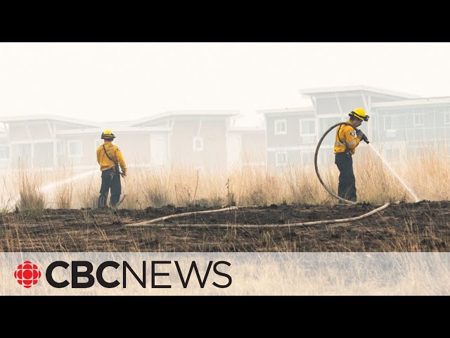 Update on wildfire situation in the Kelowna, B.C., area