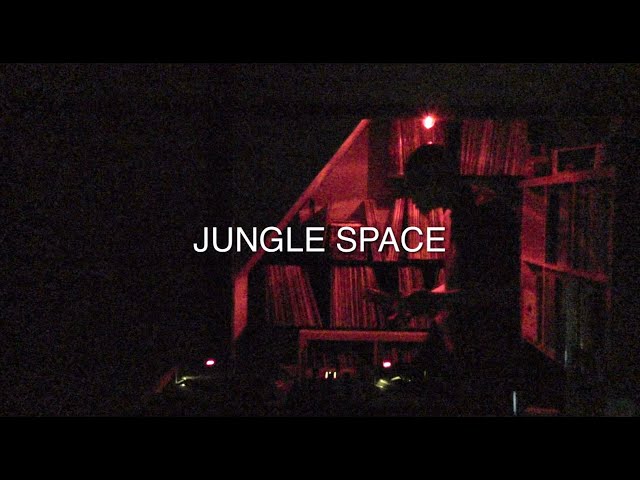 JUNGLE SPACE  | DJ SENO | WORLD, JAZZ, HOUSE | Jam Tunes