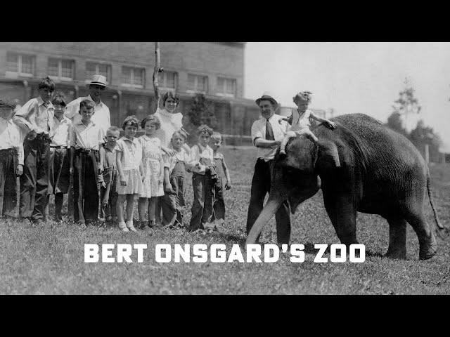 Bert Onsgard's Zoo