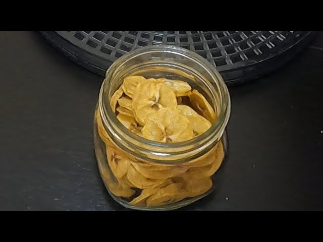 Making Homemade Plantain Chips by Dehydrating