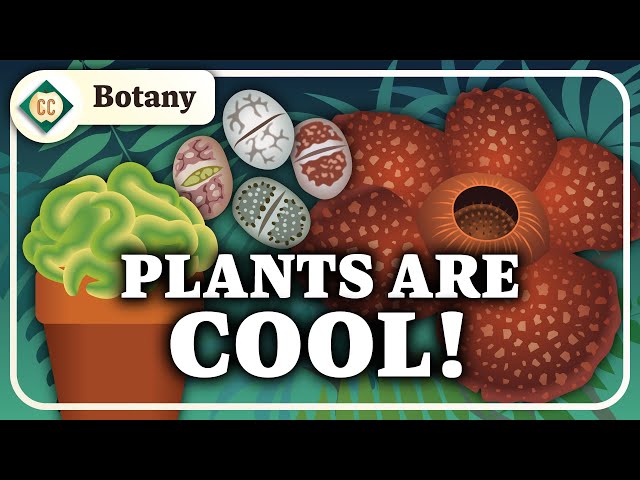 What is Botany? Crash Course Botany #1