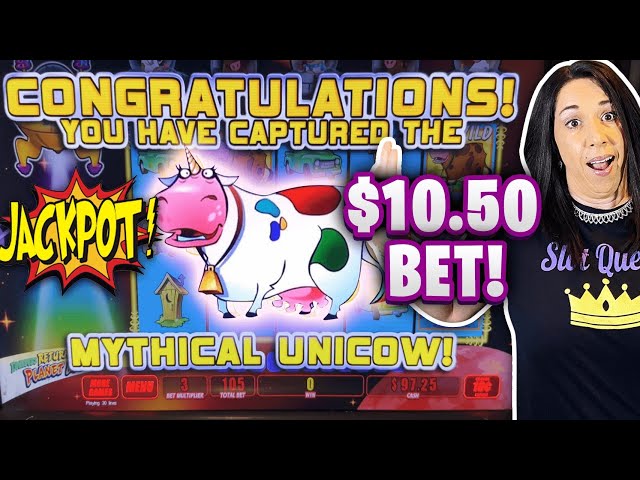 ONCE IN A LIFETIME 💰 CAUGHT THE UNICOW ON A $10.50 BET 😱