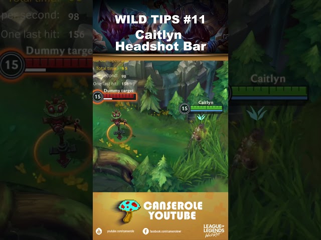 Caitlyn Headshot Bar | Wild Tips #11