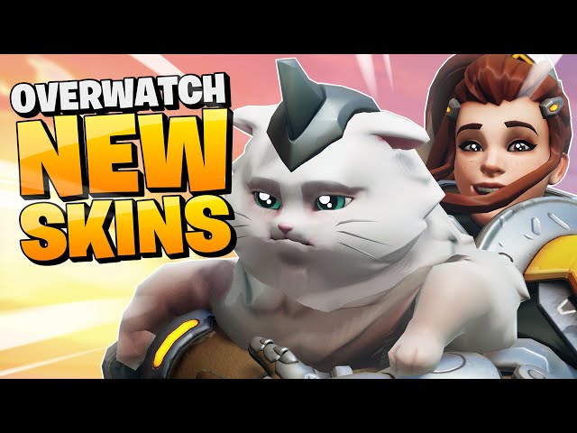 OVERWATCH NEW SKINS AND A CAT