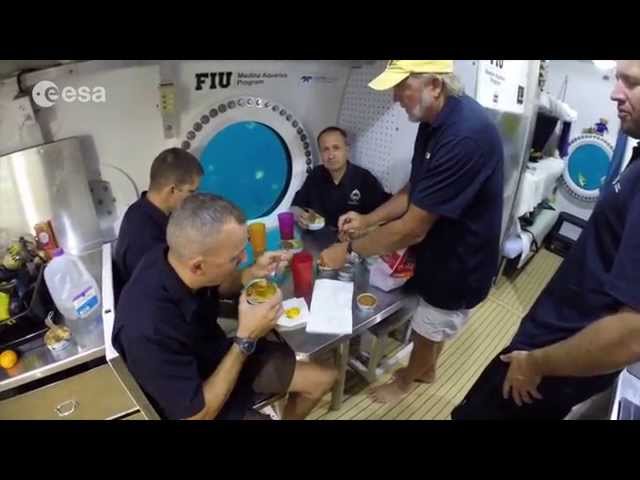 NEEMO 19: Mission day 3