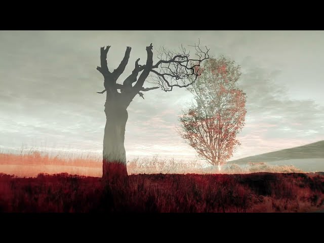 Mourning Tree [Ambient Piano Neoclassical Music] - by Eric Heitmann