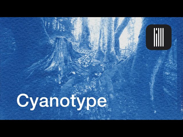 Cyanotype with iPhone photos - Creative Photography - ProCamera