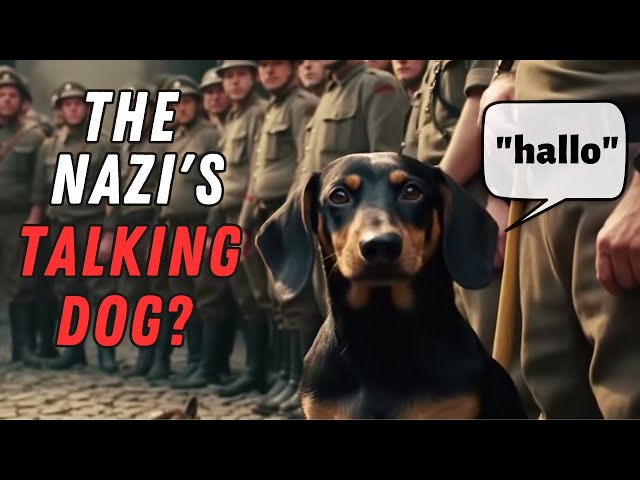 Dachshund Facts: The Nazis Had a Talking Dachshund?