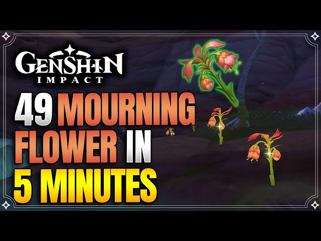 Mourning Flower Locations | Fast and Efficient Farming Route | Kaveh Materials |【Genshin Impact】