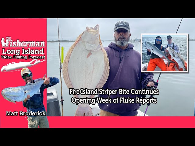 May 9th 2024 Long Island Metro Fishing Report with Matthew Broderick