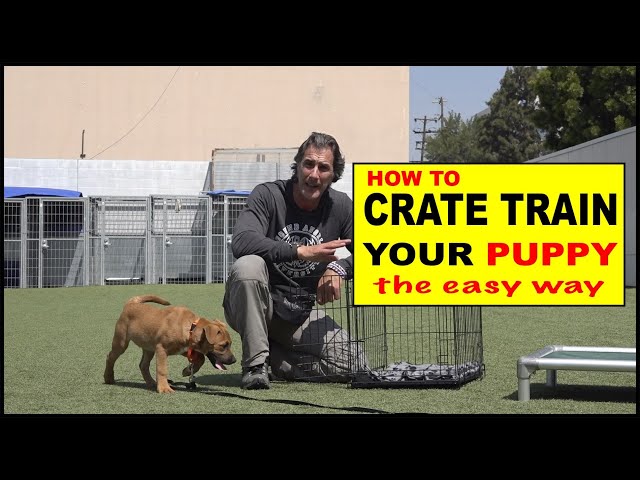 How to CRATE Train Your Puppy - The EASY Way to Crate Train Your Dog
