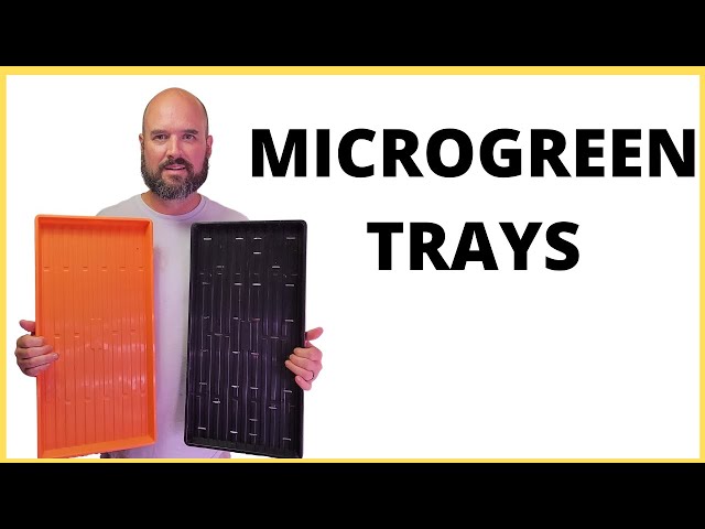 Filling Soil Trays for Microgreen Step By Step Tutorial