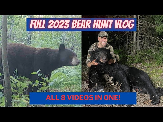 Minnesota Bear Hunting - Entire 2023 season 8 VLOGS