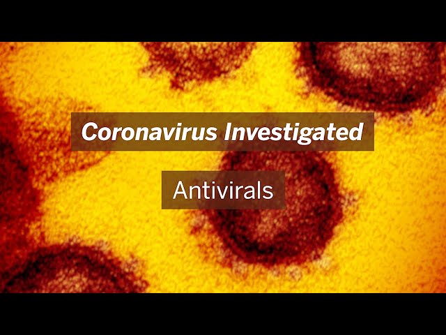 Coronavirus Investigated: Antivirals
