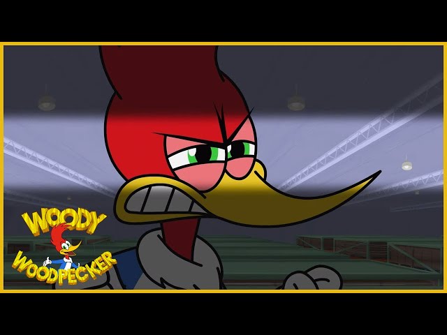 Woody Woodpecker | It's Mine! | Full Episodes