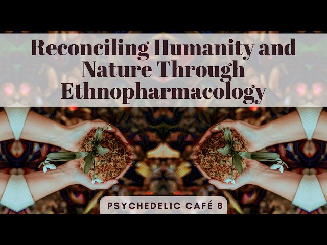 Reconciling Humanity and Nature Through Ethnopharmacology | Psychedelic Café 8