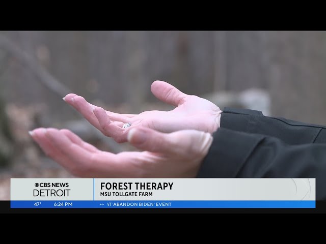 Science of Weather: Forest Therapy at MSU's Tollgate Farm in Novi