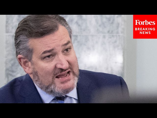 'Are You Going To Answer The Questions?': Cruz's Best Witness Grillings Of Past Year | 2021 Rewind