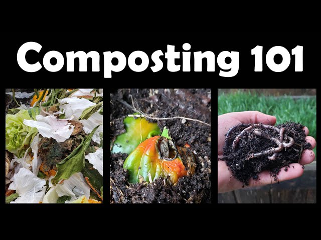 Composting Tutorial - Guide To A Better Compost