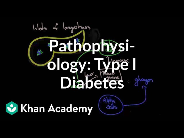 Pathophysiology - Type I diabetes | Endocrine system diseases | NCLEX-RN | Khan Academy