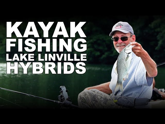 Trolling for Hybrid Bass in a Kayak!