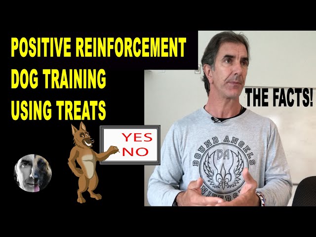 Positive Reinforcement Dog Training Using Treats - Robert Cabral Dog Training Lecture