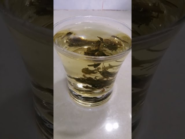 Jiaogulan tea for insomnia & sleep issues 失眠多喝絞股蘭茶