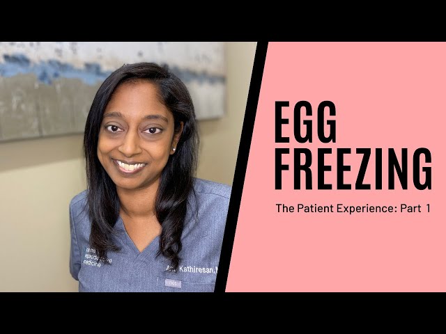 Egg Freezing The Patient Experience- Part 1