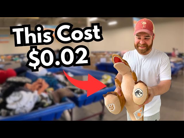 These Unwanted Goodwill Donations are CHEAP!