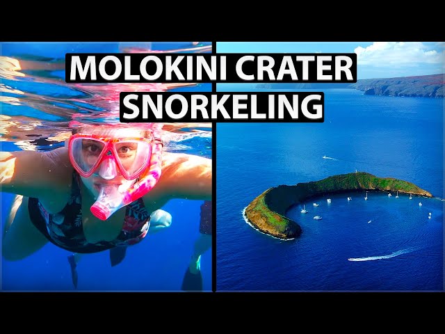 Snorkeling in Molokini Crater and Turtle Town on Maui ( Plus Lahaina Eats)