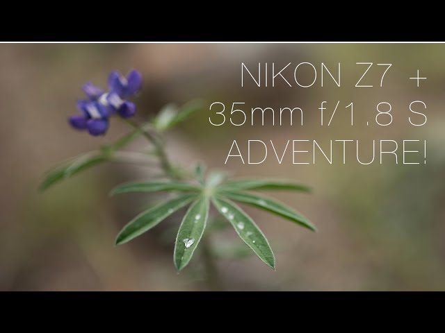 Nikon Z7 Fall Colors Adventure