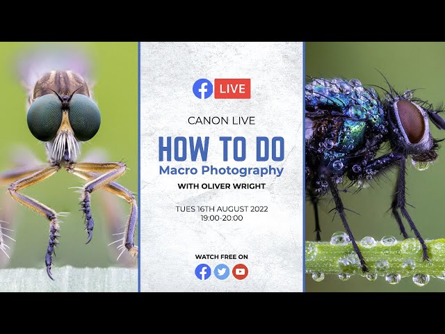 Canon Live | How to do Macro Photography with Oliver Wright