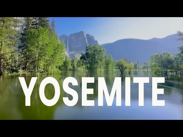 YOSEMITE NATIONAL PARK: We Didn't Expect This! | Travel Guide | Things to Do | 4k
