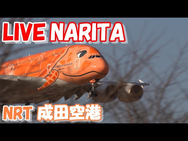 🔴LIVE at NARITA International Airport Plane Spotting　2024.05.23　成田空港ライブカメラ 成田空港　NRT/RJAA