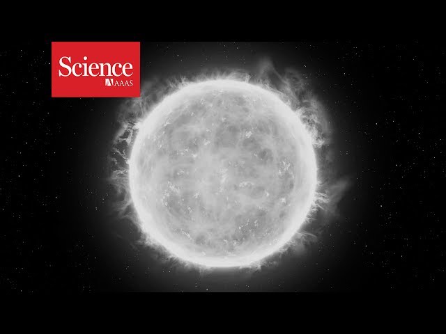 Astronomers measure the mass of a star—thanks to an old tip from Einstein