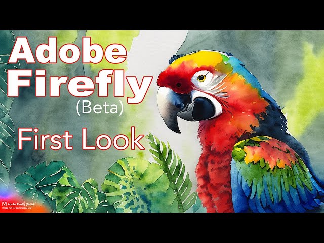 ADOBE FIREFLY (Beta) First Look