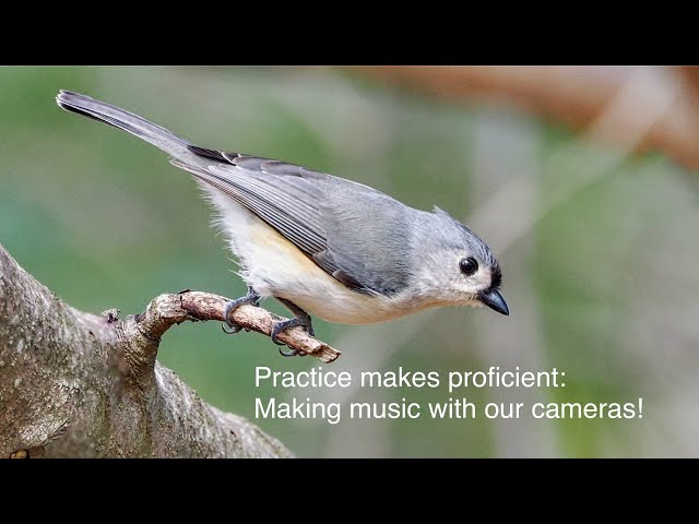 Practice makes proficient: Making music with our cameras!