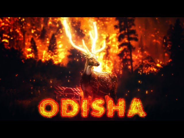 Odisha जल रहा हैं लेकिन सब चुप है | Odisha Similipal National Park Is Burning