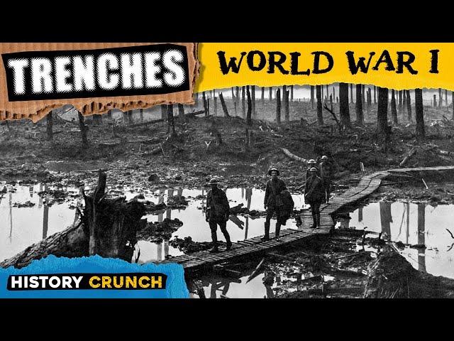 Trenches of World War 1 - Video Infographic