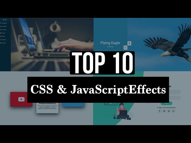 Top 10 CSS & JavaScript Effects