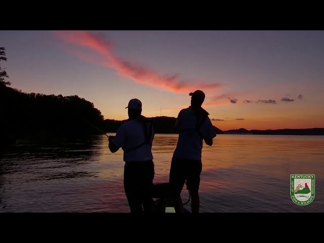Night Fishing Lake Cumberland for Black Bass