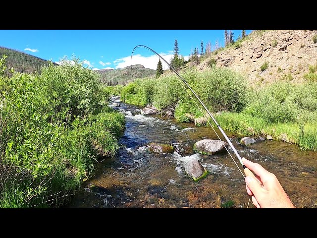 100 FISH in 4 HOURS - The BEST DRY FLY small stream ever.  part 16