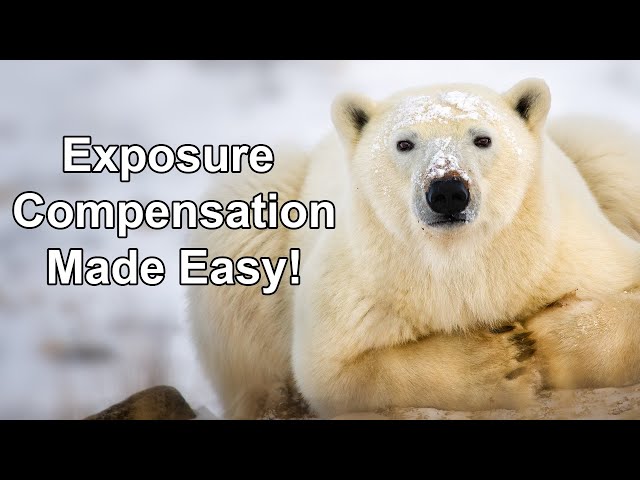 Exposure Compensation Made Easy!