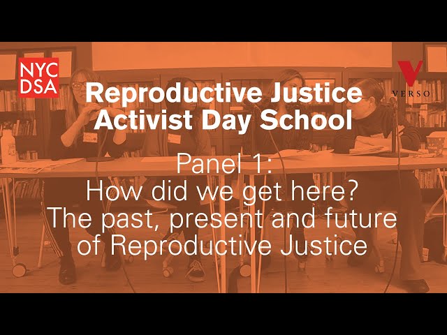 Reproductive Justice Activist Day School 1: “The Past, Present and Future of Reproductive Justice”