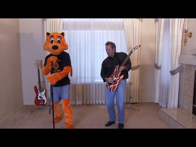 The Rise and Fall of Cool Cat