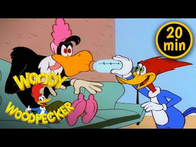 Woody the Babysitter | 3 Full Episodes | Woody Woodpecker